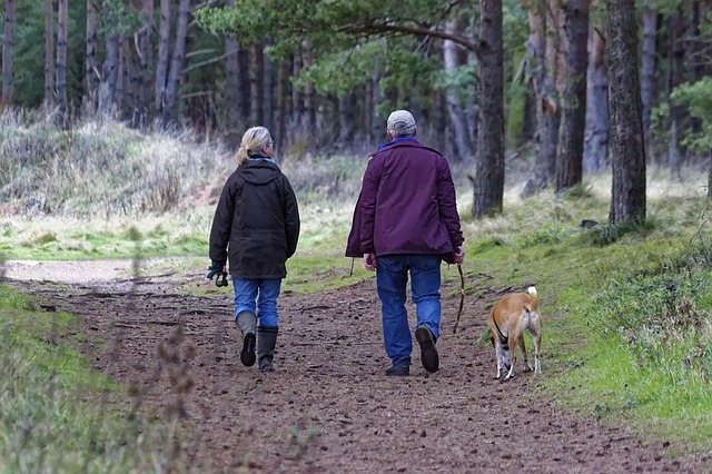 Pareja paseando con su perro por el bosque blog tuperrete.jpg